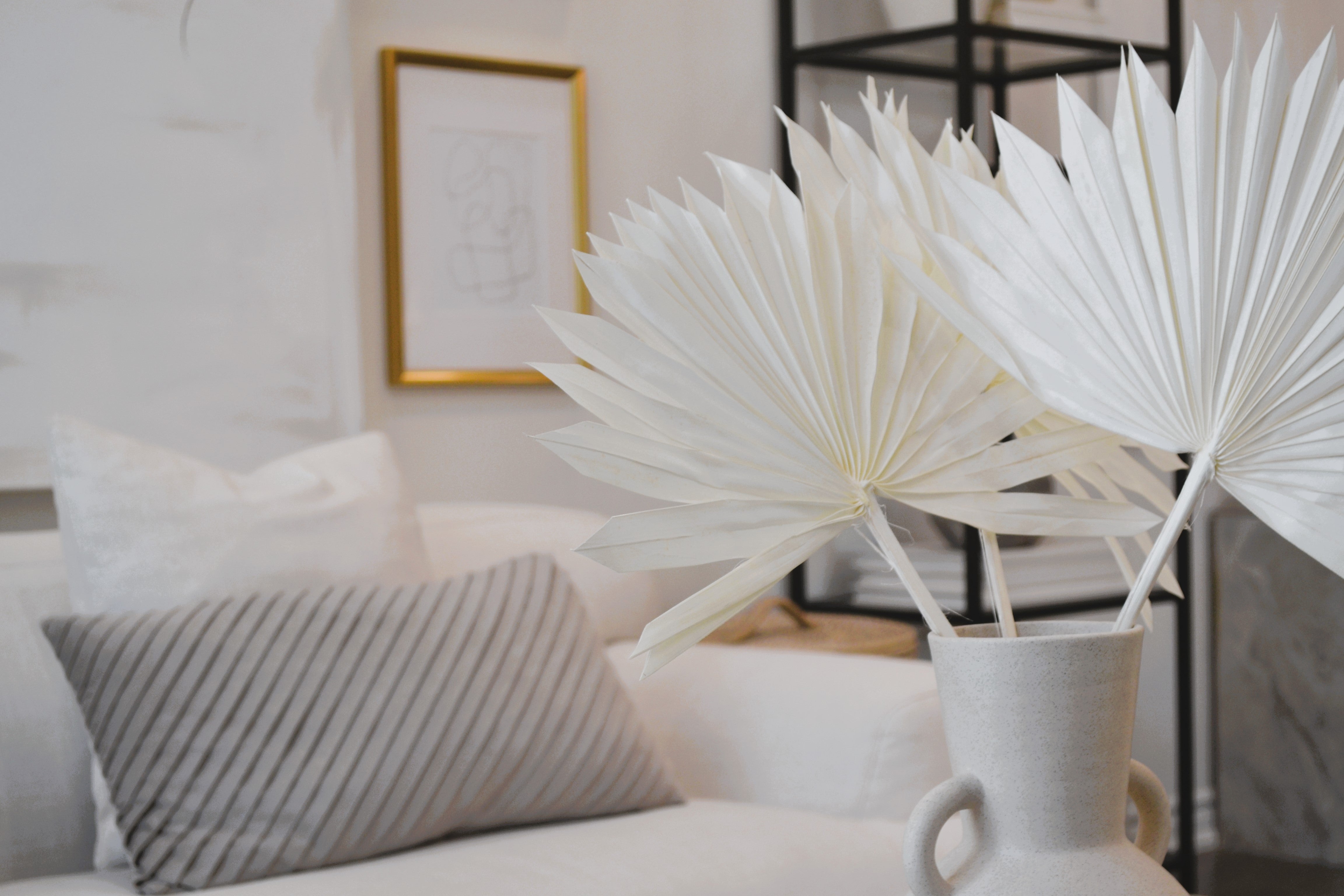 PRESERVED SUN FAN PALM LEAF